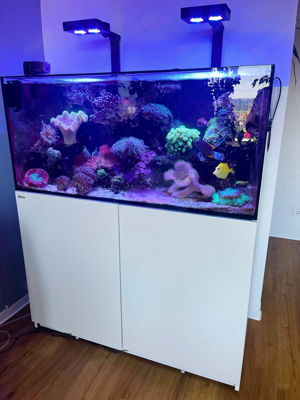 Aquarium RedSea425XL