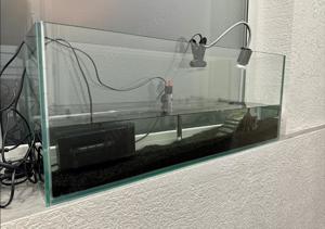 Junge Moschusschildkröten Wasserschildkröten mit Aquaterrarium Aquarium und Zubehör