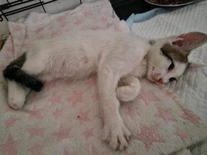 Winie sucht einen Ort zum Bleiben Bild 6