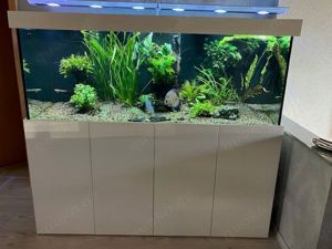 Verkaufe Tropic Aquarium 180x70x70cm Komplett- Anlage