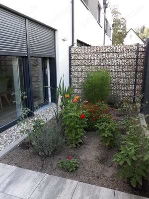 Haus zu verkaufen Bild 5