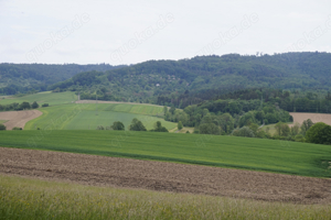 Garten, Wochenendgrundstück, Freizeitgrundstück, Wochenendhaus