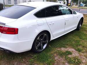 Audi A5 3.0 TDI Sportback (clean die.) quat. DPF S tro.