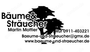 Baumpflege, Strauchschnitt, Heckenschnitt, Gartenpflege