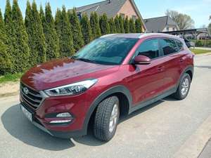 Hyundai TUCSON Tucson blue 1.7 CRDi 2WD DCT Advantage