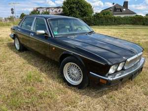 Jaguar XJ40 Daimler Six 4.0 Bild 4