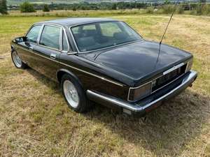 Jaguar XJ40 Daimler Six 4.0 Bild 3