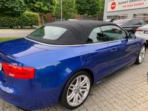 Audi A5 A5 Cabrio Diesel Cabrio 2.0 TDI DPF (clean diesel)