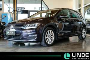 Volkswagen Golf Lounge|NAVI|ACC|Bi-XENON|PANO.|STANDHE.|AHK