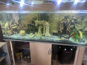 Aquarium komplett 