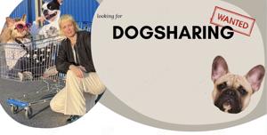 Looking for Dogsharing