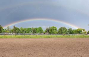Islandpferde-Paddockboxen mit zusätzl. Tagesausläufen für 10h in Hanhofen Bild 9