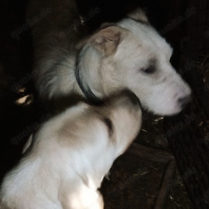 Benjamin - was fehlt bist du Bild 6