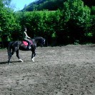 Pferdeboxen im Landschaftsschutzgebiet Bild 3