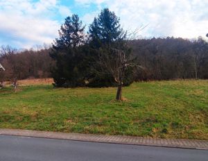 Grundstück für freistehendes EFH Mehrfamilienhaus in TOP-Lage!