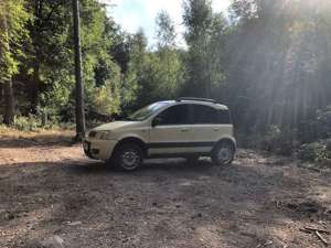 Fiat Panda Panda 1.1 Active