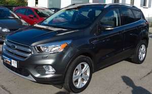 Ford Kuga Trend