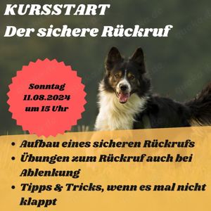 RESTPLÄTZE im Rückrufkurs