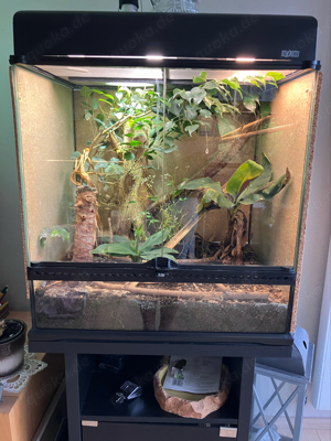 Exo Terra Terrarium komplett 60x45x60