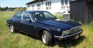 Jaguar XJ40 Jaguar XJ40 OLDTIMER Bild 5