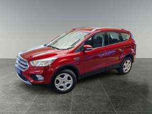 Ford Kuga Ford Kuga Cool  Connect mit schwenkb. AHK