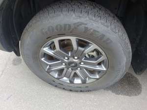 Ford Ranger Wildtrak 4WD Doppelkabine AHK Laderaumrollo Bild 5