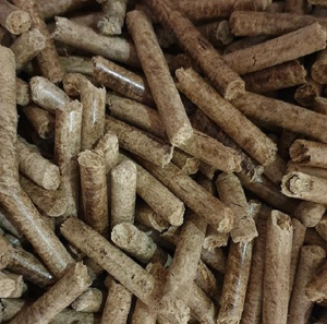 Holzpellets ENplus