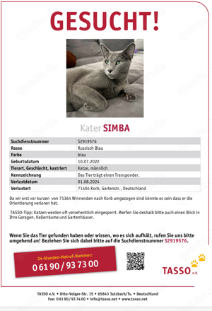 Kater gesucht