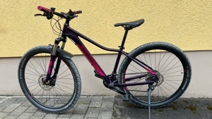 Damen Fahrrad Cube Access WS Race aubergine n berry 2019 17 Zoll