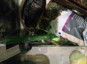 20 Liter Dennerle Cube mit allem Zubehör Bild 2