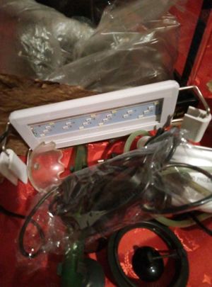 20 Liter Dennerle Cube mit allem Zubehör Bild 7