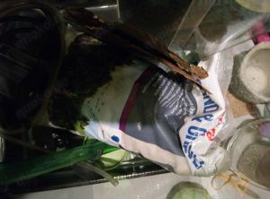 20 Liter Dennerle Cube mit allem Zubehör Bild 4