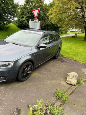 Skoda Octavia Combi 1.6 TDI (Green tec) Joy