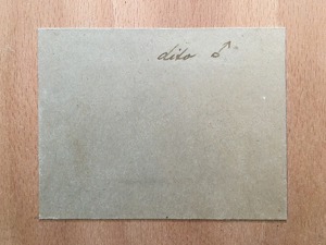 2 Schmetterlinge im Schaukasten, Urania Ripheus, Madagaskar Bild 5