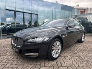 Jaguar XF 25t Portfolio LED|ACC|Keyless|360° Kamera|DVD