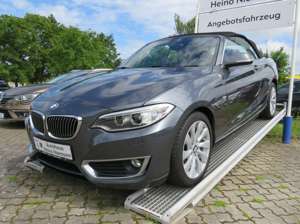 BMW 220 220 i Cabrio *NAVI*PDC*KLMA*LM*SH*