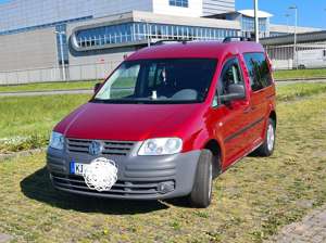 Volkswagen Caddy Caddy 1.9 TDI Life (5-Si.)