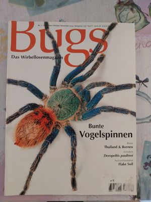 BUGS - Das Wirbellosenmagazin (Phasmiden,Mantiden u.s.w)