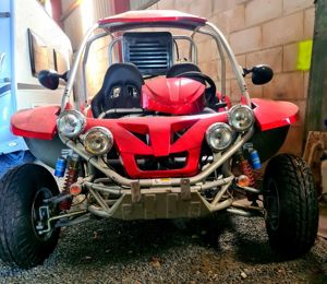 Buggy Renli 250 ccm KFZ 2009 Quad Kart Motorrad Auto