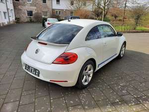 Volkswagen Beetle 1.4 TSI Bild 4