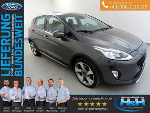 Ford Fiesta 1.0 EcoB Active Plus AHK+Navi