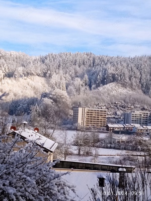 Nehme ihren vier beiner in pflege wenn sie nicht zu hause sind.