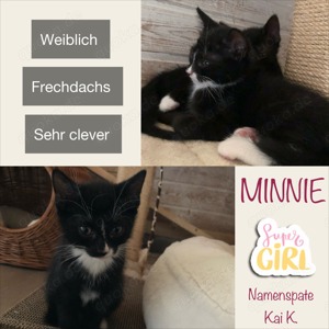 Minnie &Milow ( geb. 05.2024)  sucht ein Zuhause zusammen