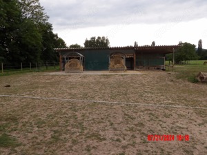 Offenstallplatz Offenstall Stall mit Auslauf, Weiden und 24h Heu