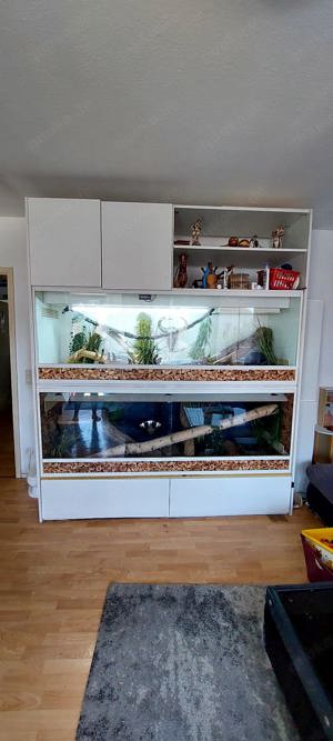 Doppel Terrarium mit Stauraum 