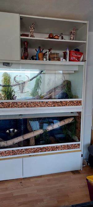 Doppel-Terrarium-Schrank