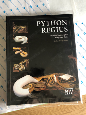 Python Regius - Atlas der Farbmorphen