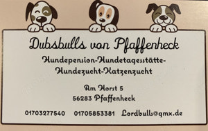 Hundepension Dubsbulls von Pfaffenheck - Hundetagesstätte - Hundebetreuung 