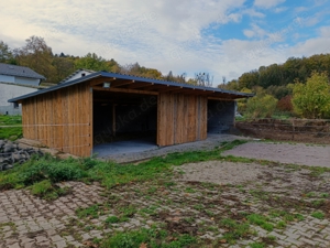 Offenstall Offenstallplatz Weide 24 7 ganzjährig ab 01.10. frei