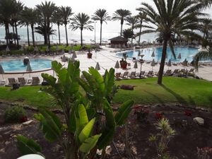 Europa, Fernreise oder Kreuzfahrt  2025 Reisepartnerin gesucht